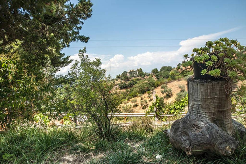 Agriturismo Miracco Atanasio Franco "Il Maniero" Santa Sofia d'Epiro Ngoại thất bức ảnh
